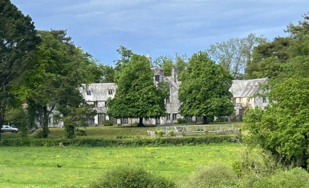 Dartington Estate park