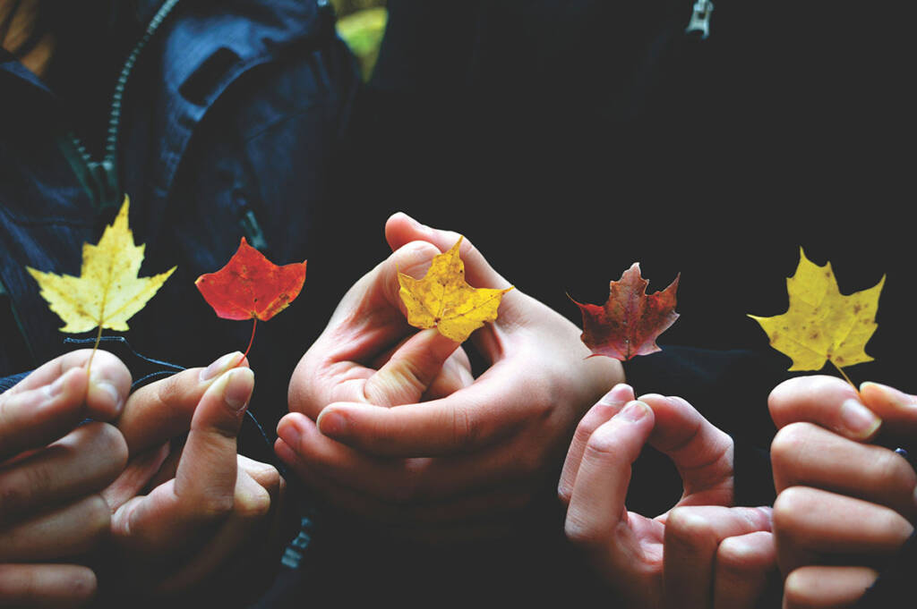 A group of men holding Autumn leaves