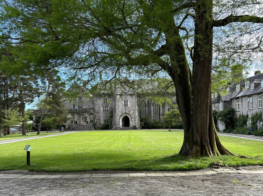 Dartington Estate therapy room