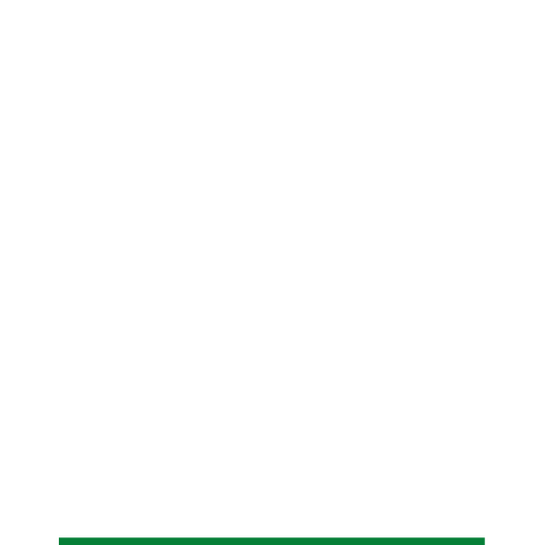 Pesso Boyden Devon